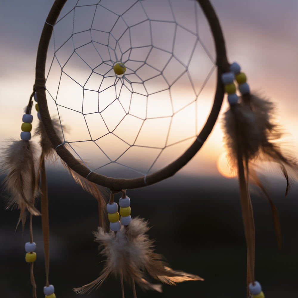 An Introduction to Shamanism