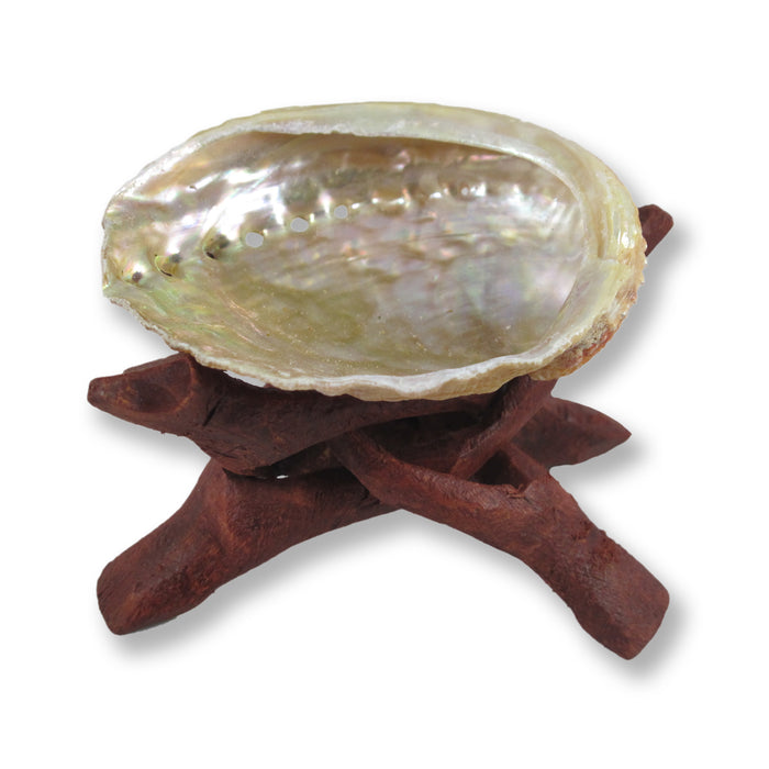 Abalone Shells and Tripod Holders