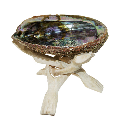 Abalone Shell with Stand