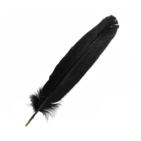 Black Feather 12"
