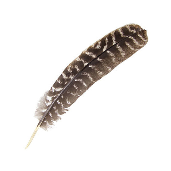 Turkey Barred Feather – The Witches Sage LLC