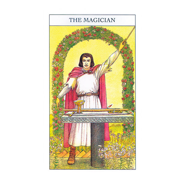 Beginner's Guide to Tarot