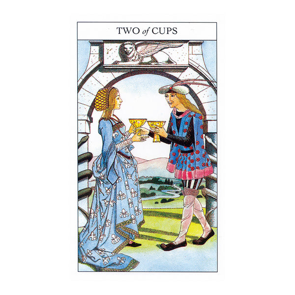 Beginner's Guide to Tarot