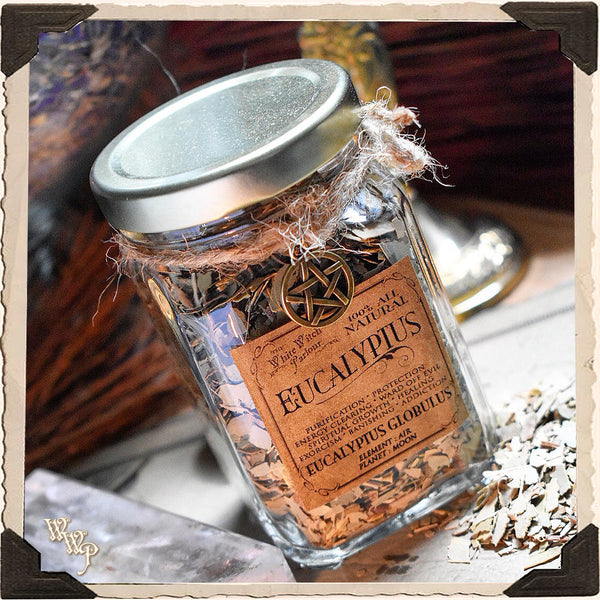 EUCALYPTUS LEAVES APOTHECARY. Dried Herbs. For Purification, Healing & Protection.