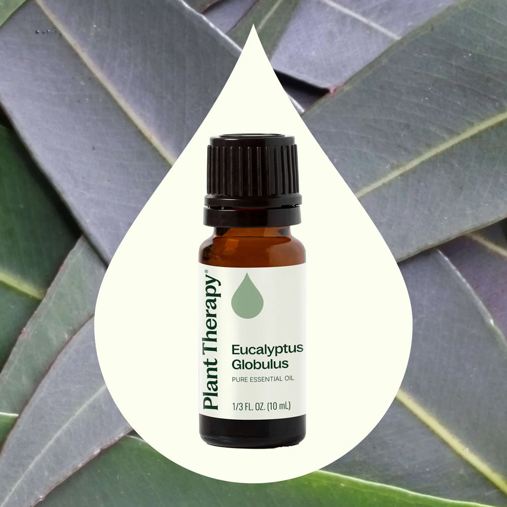 Plant Therapy Eucalyptus Globulus Essential Oil 10 Ml