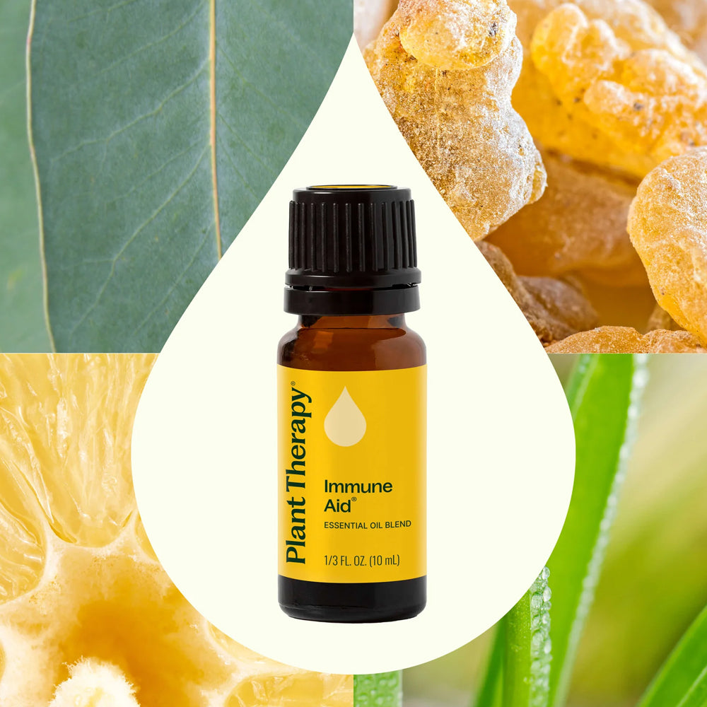 Plant Therapy Immune Aid Essential Oil 10 Ml