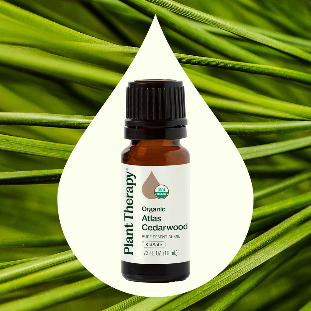 Planet Therapy Organic Atlas Cedarwood Essential Oil - 10 Ml