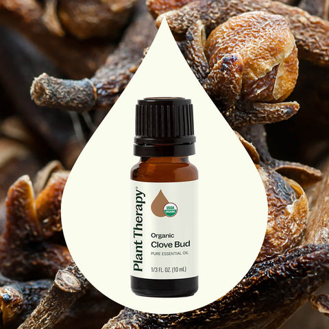 Planet Therapy Organic Clove Bud Essential Oil - 10 Ml