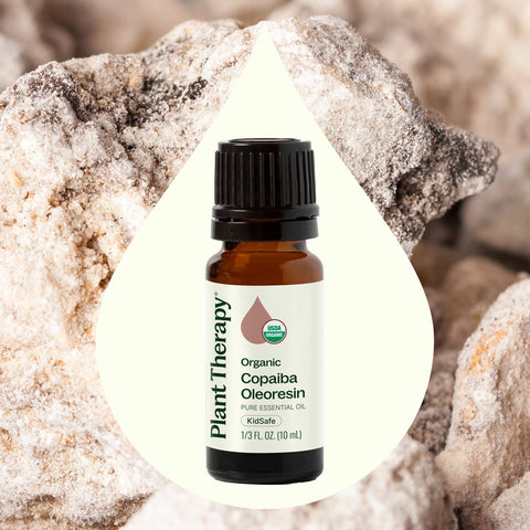 Planet Therapy Organic Copaiba Oleoresin Essential Oil - 10 Ml