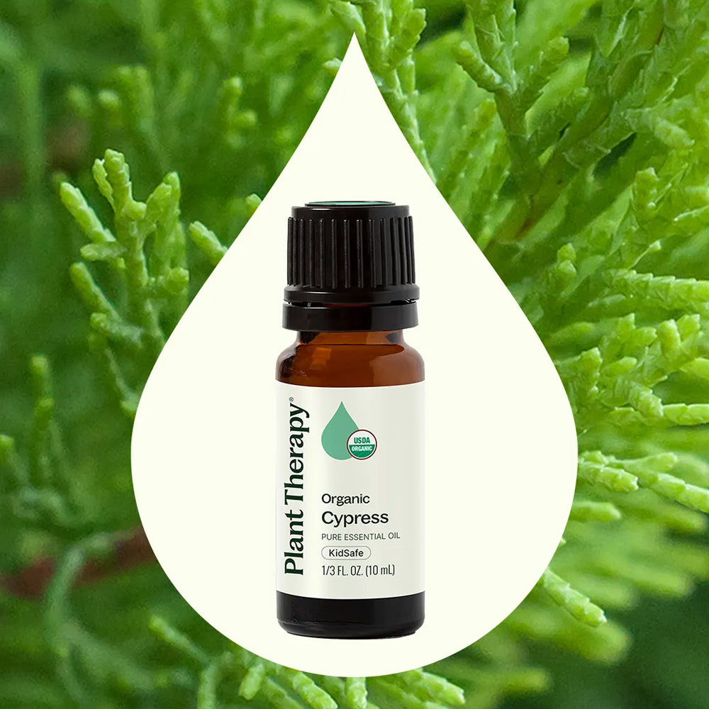 Planet Therapy Organic Cypress Essential Oil - 10 Ml