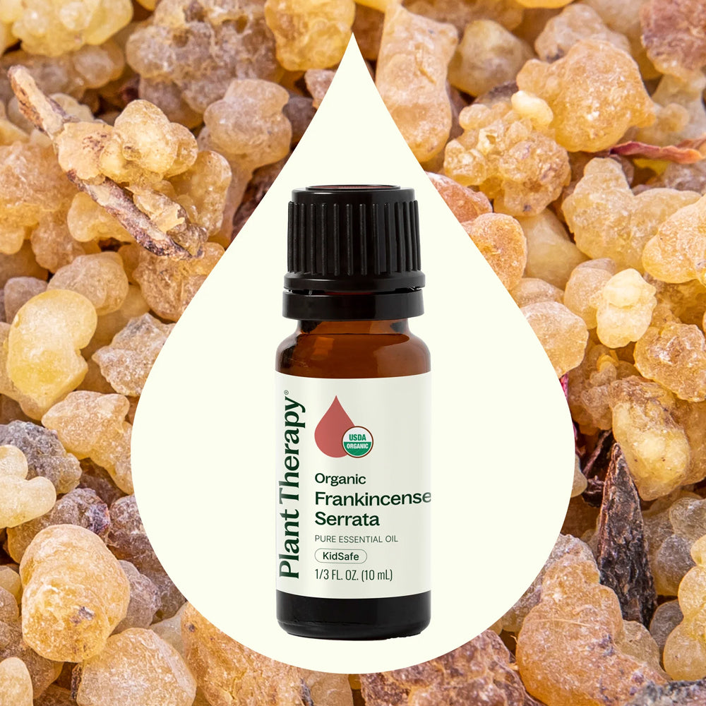 Planet Therapy Organic Frankincense Serrata Essential Oil - 10 Ml