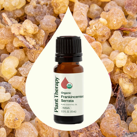 Planet Therapy Organic Frankincense Serrata Essential Oil - 10 Ml
