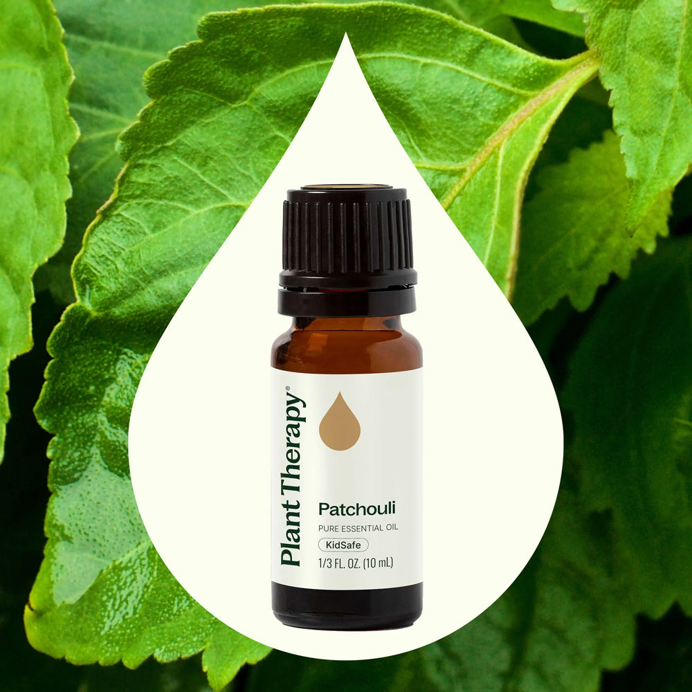 Plant Therapy Patchouli Essential Oil 10 Ml