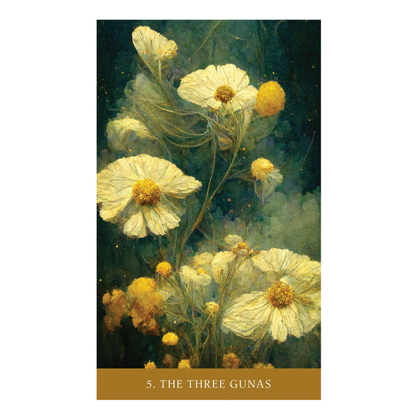 The Path of Light Oracle