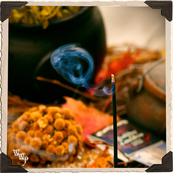 BUBBLING CAULDRON INCENSE . 20 Stick Pack. For Manifestation, Divination & Samhain Protection.