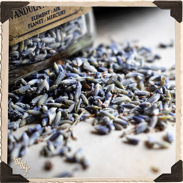 LAVENDER BUDS APOTHECARY. Dried Herbs. For Relaxation, Divination, Meditation & Sleep.