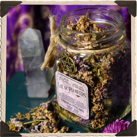 LILAC FLOWER APOTHECARY. Dried Herbs. For Psychic Awareness, Spirits, Mourning & Letting Go.