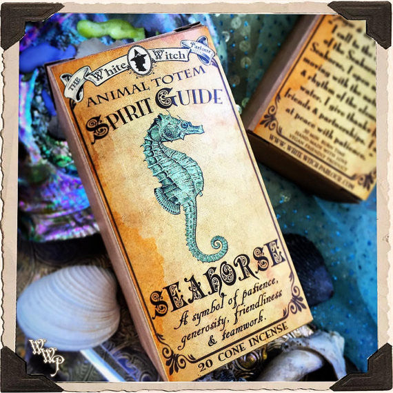 SEAHORSE Animal Totem Cone INCENSE. Aquamarine & Moonstone. For Patience, Generosity & Friendship.