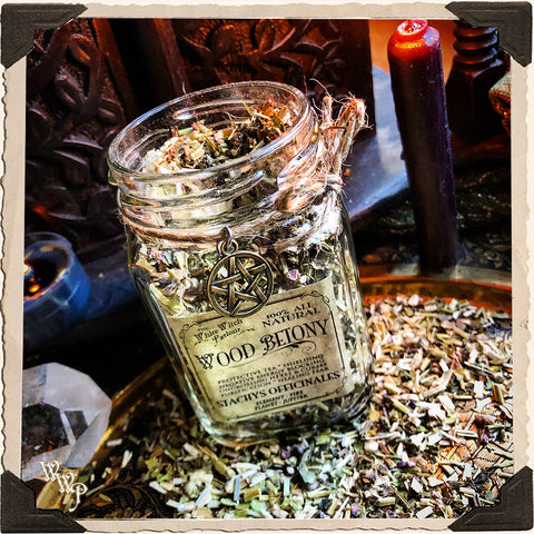 WOOD BETONY Dried Herbs. For Protection, Ghosts , Blocking Negative & Evil Energies