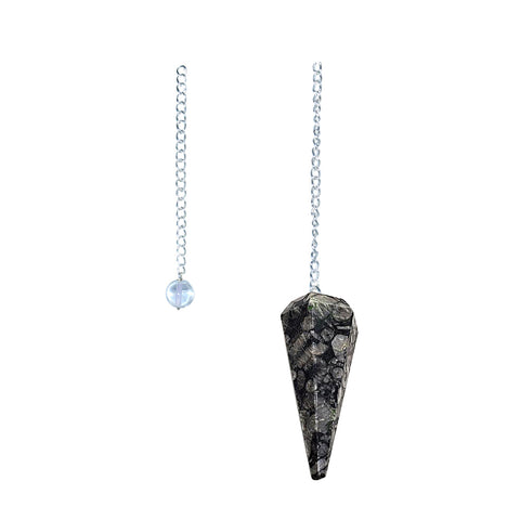 6-sided Black Coral Fossil Pendulum