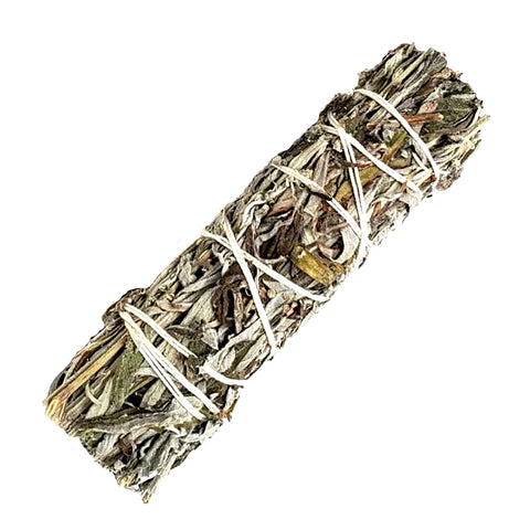 Black (Mugwort) Smudge Sage