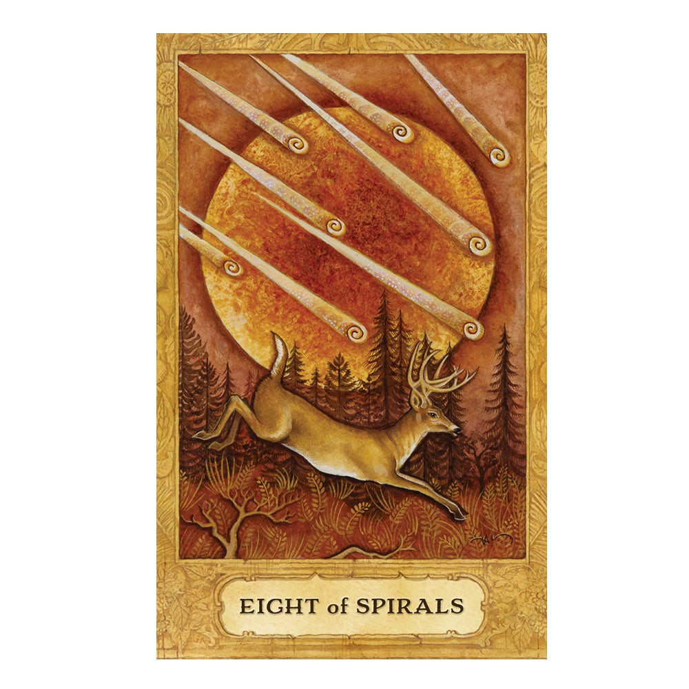 Chrysalis Tarot Deck & Book Set Chrysalis Tarot Deck & Book Set