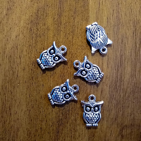 Wise Owl Charm