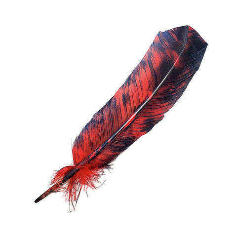 Smokey Red Feather
