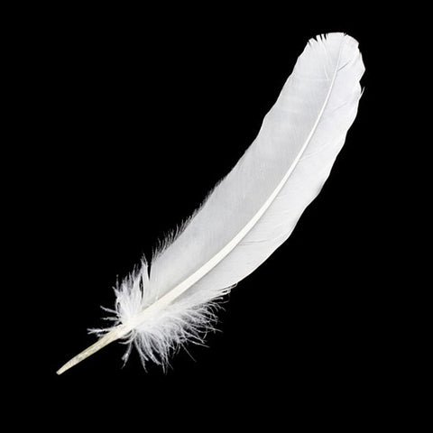 White Feather